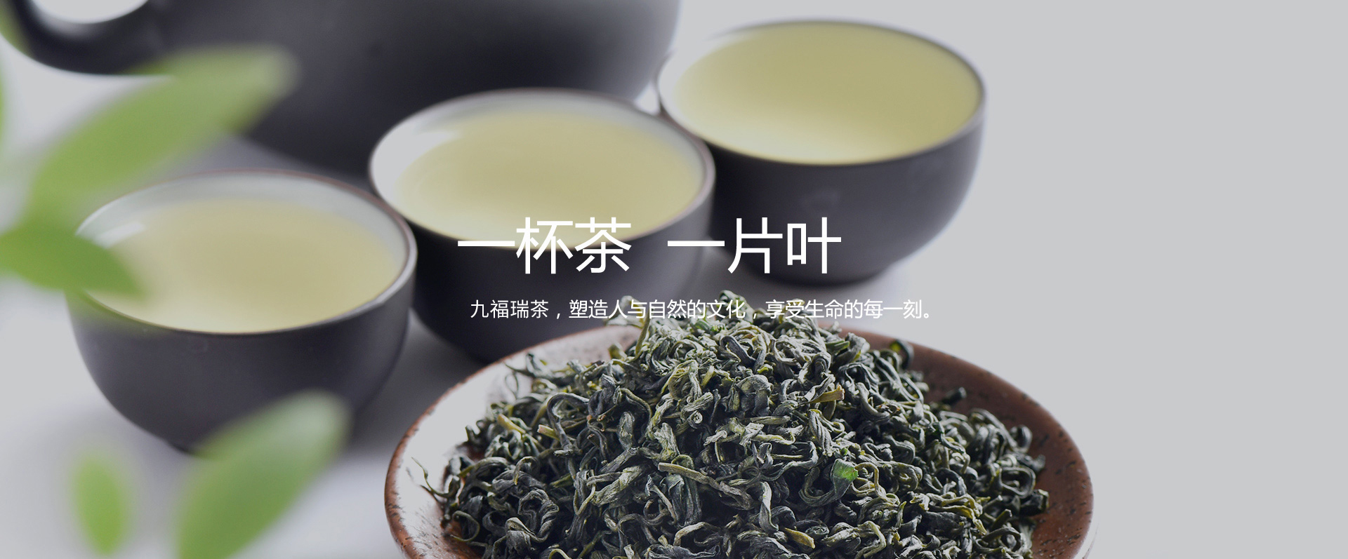 山东九福瑞实业有限公司